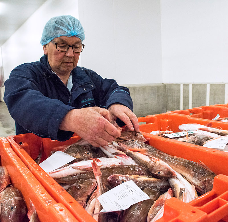 Foto van een vismedewerker