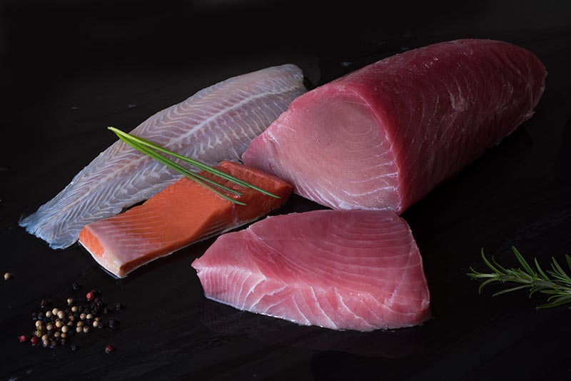 Foto van diverse vissoorten