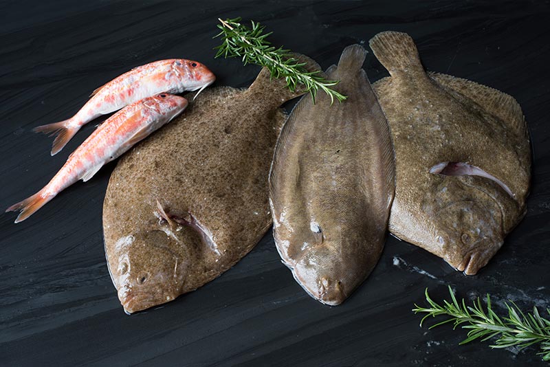 Foto van Noordzee vis