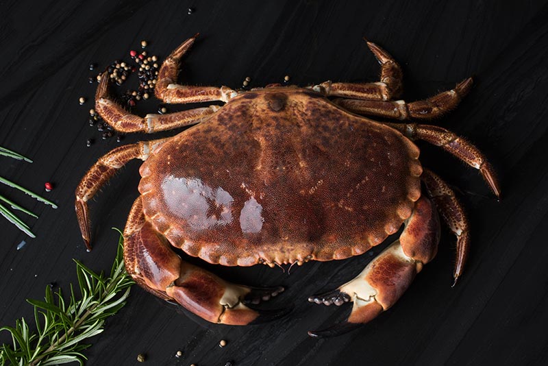 Foto van schelp- en schaaldieren