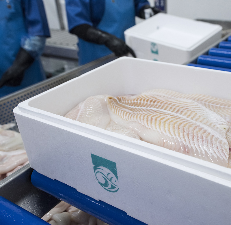 Foto van een tempexdoos met vis