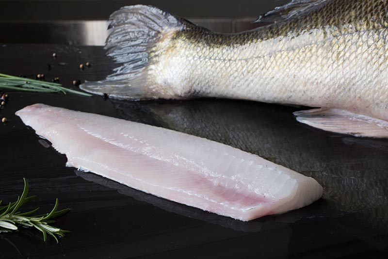 Foto van Zoetwater vis